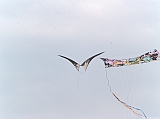 Cervia 2011-150